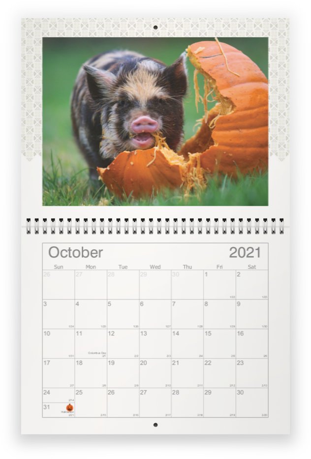 2021 Kunekune Oct. page